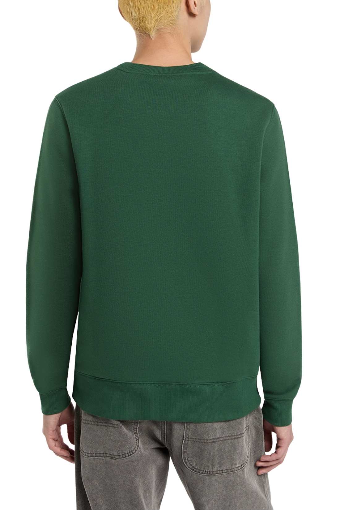 DICKIES - Men's winter crewneck Oakport sweatshirt-12