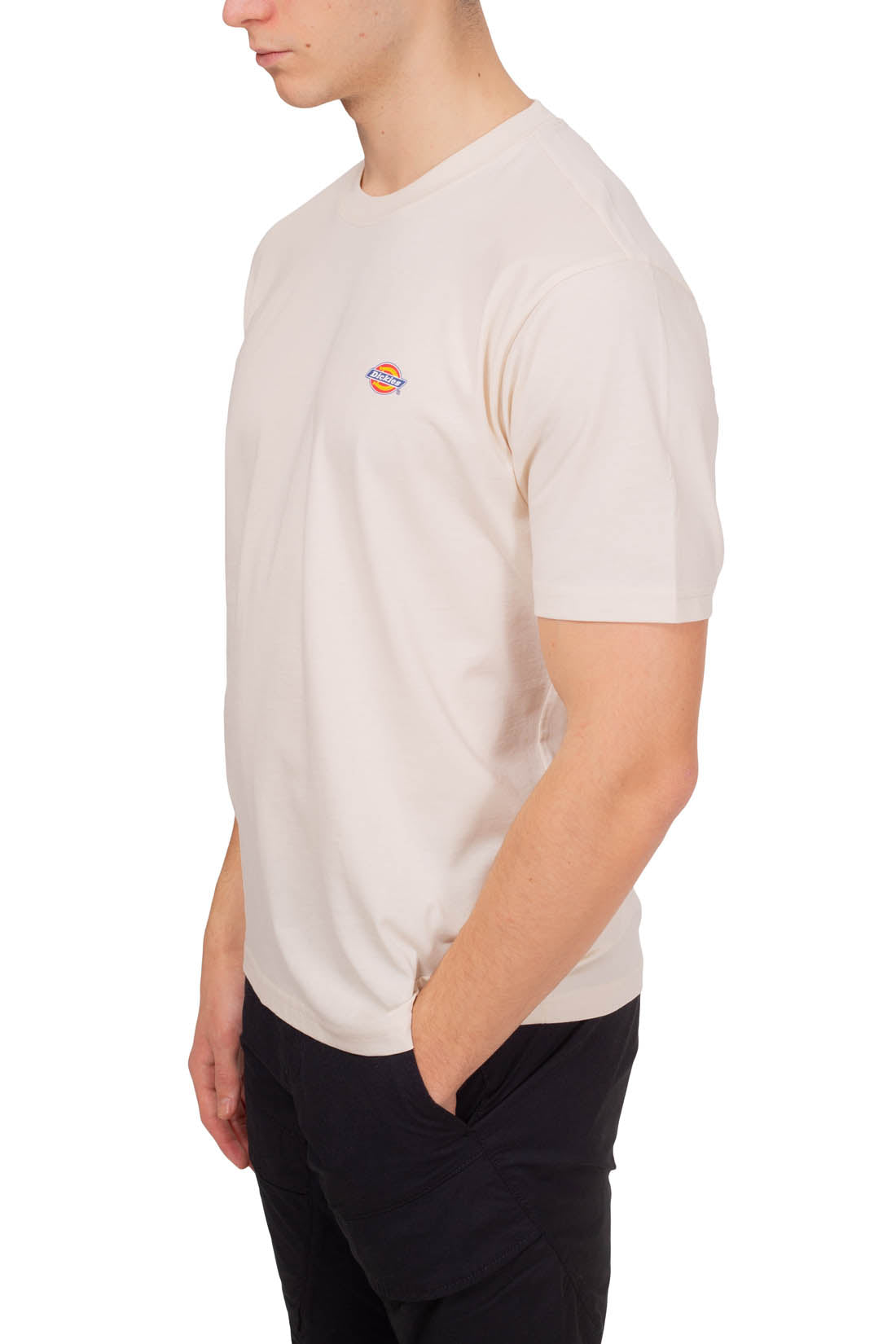 DICKIES - Men's Mapleton T-shirt  - Size XS-7