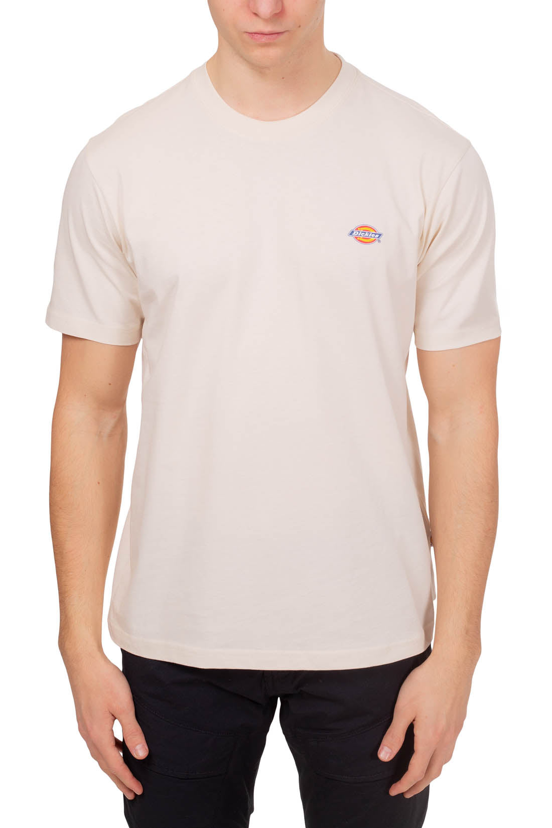 DICKIES - Men's Mapleton T-shirt  - Size XS-1