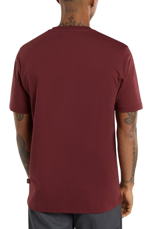 DICKIES - Men's Mapleton T-shirt-10