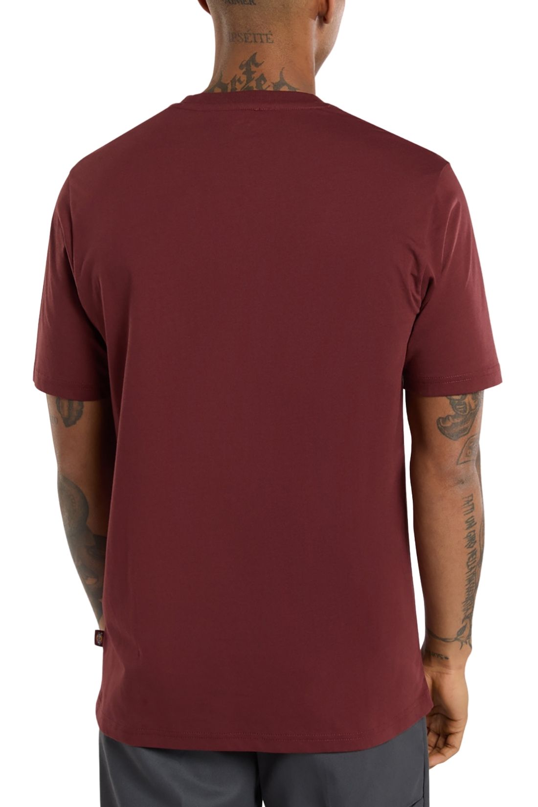 DICKIES - Men's Mapleton T-shirt-14