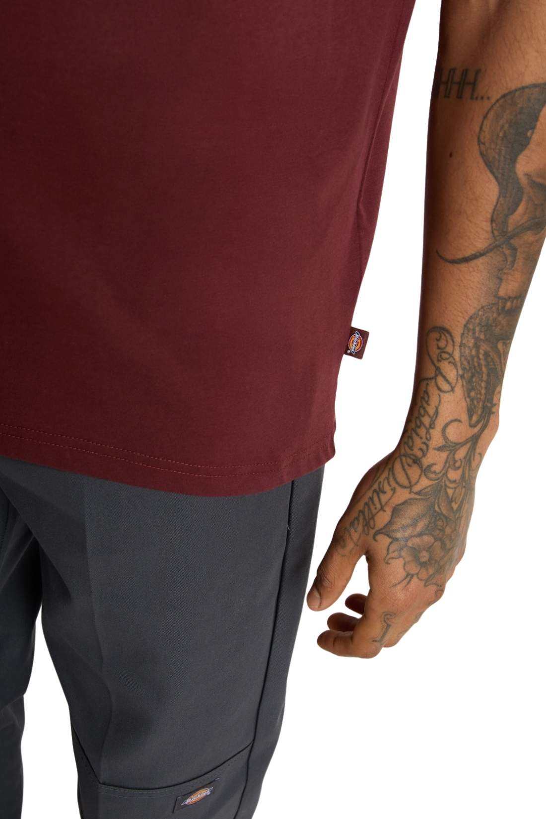 DICKIES - Men's Mapleton T-shirt-4