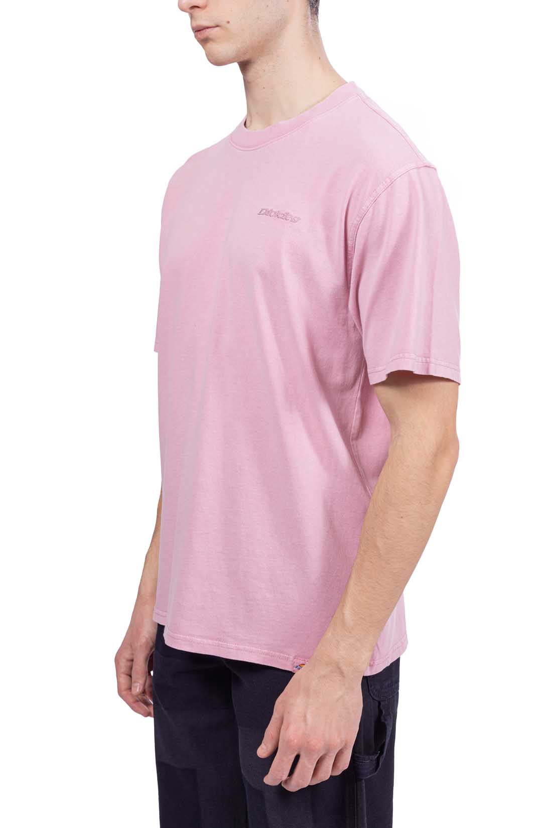DICKIES - Men's Plentywood T-shirt-9