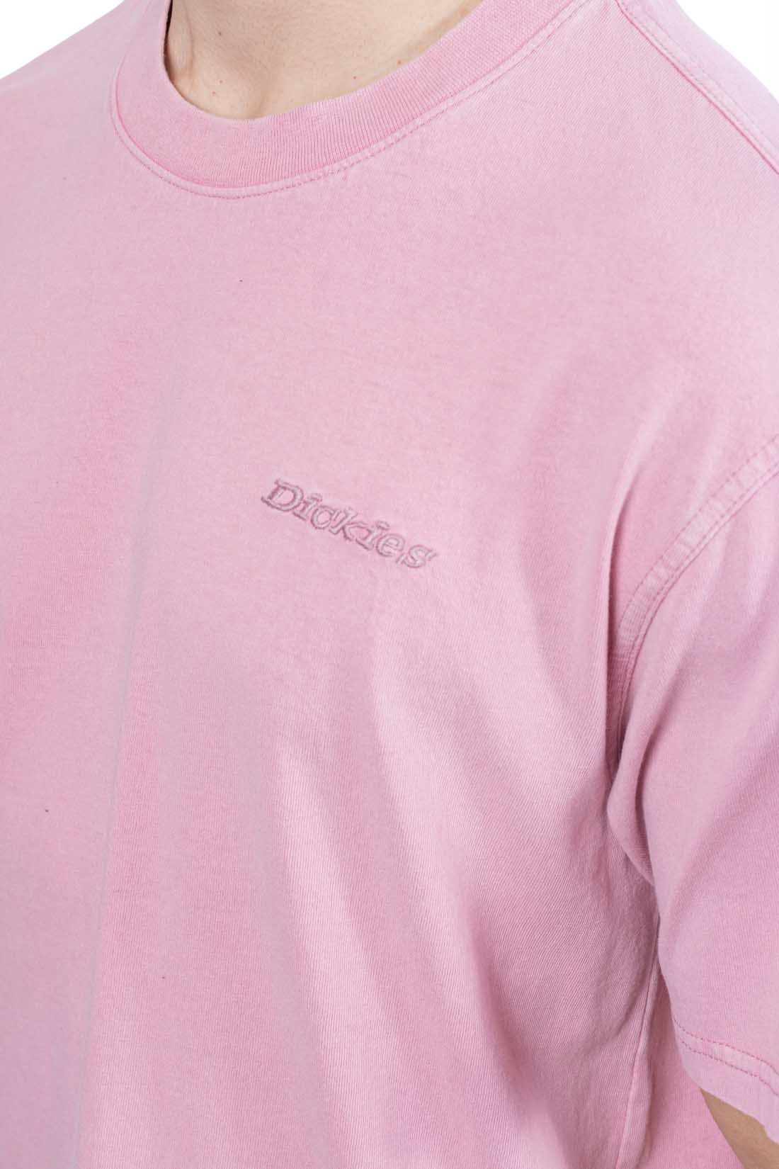 DICKIES - Men's Plentywood T-shirt-0