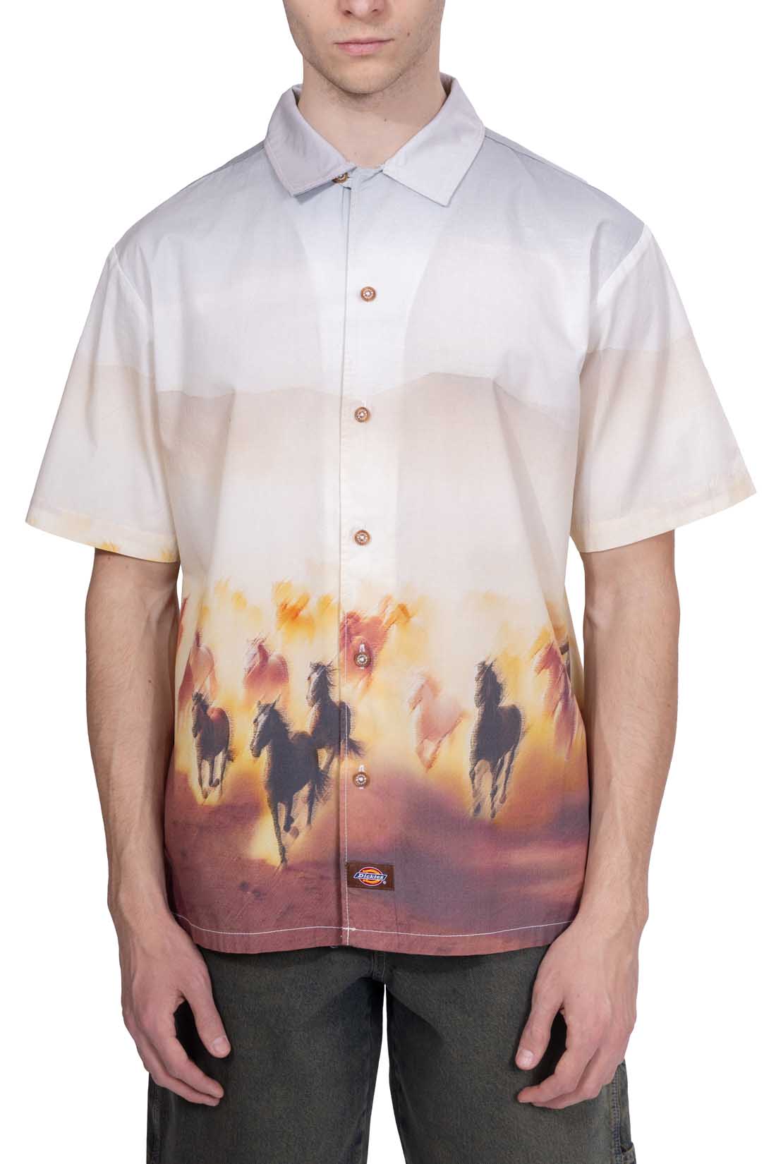 DICKIES - Men's Running Wild shirt-15
