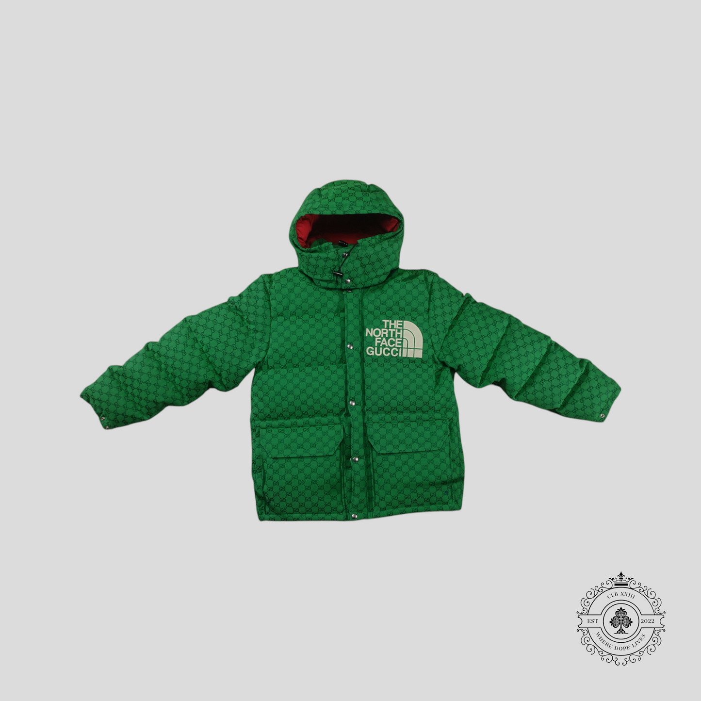 Gucci X The North Face Down Coat in Green