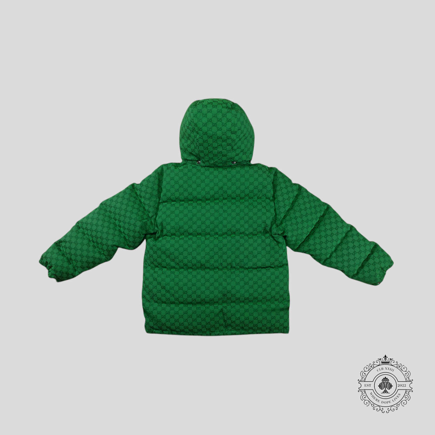 Gucci X The North Face Down Coat in Green