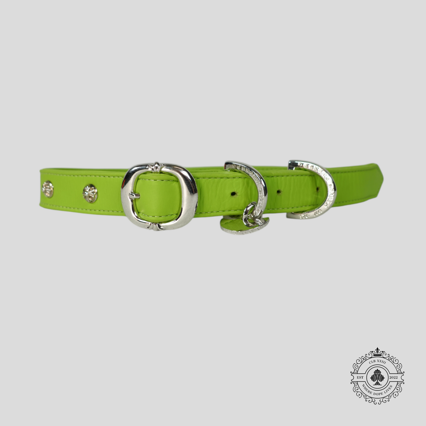 Chrome Hearts Leather Dog Collar in Green