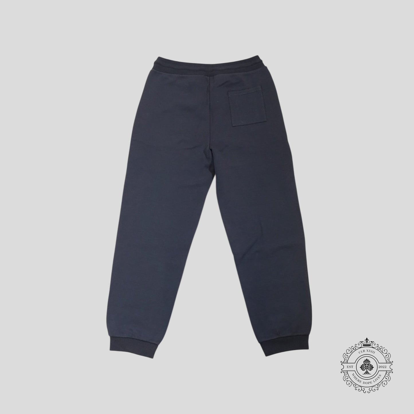 Louis Vuitton Track Pants in Dusty Blue