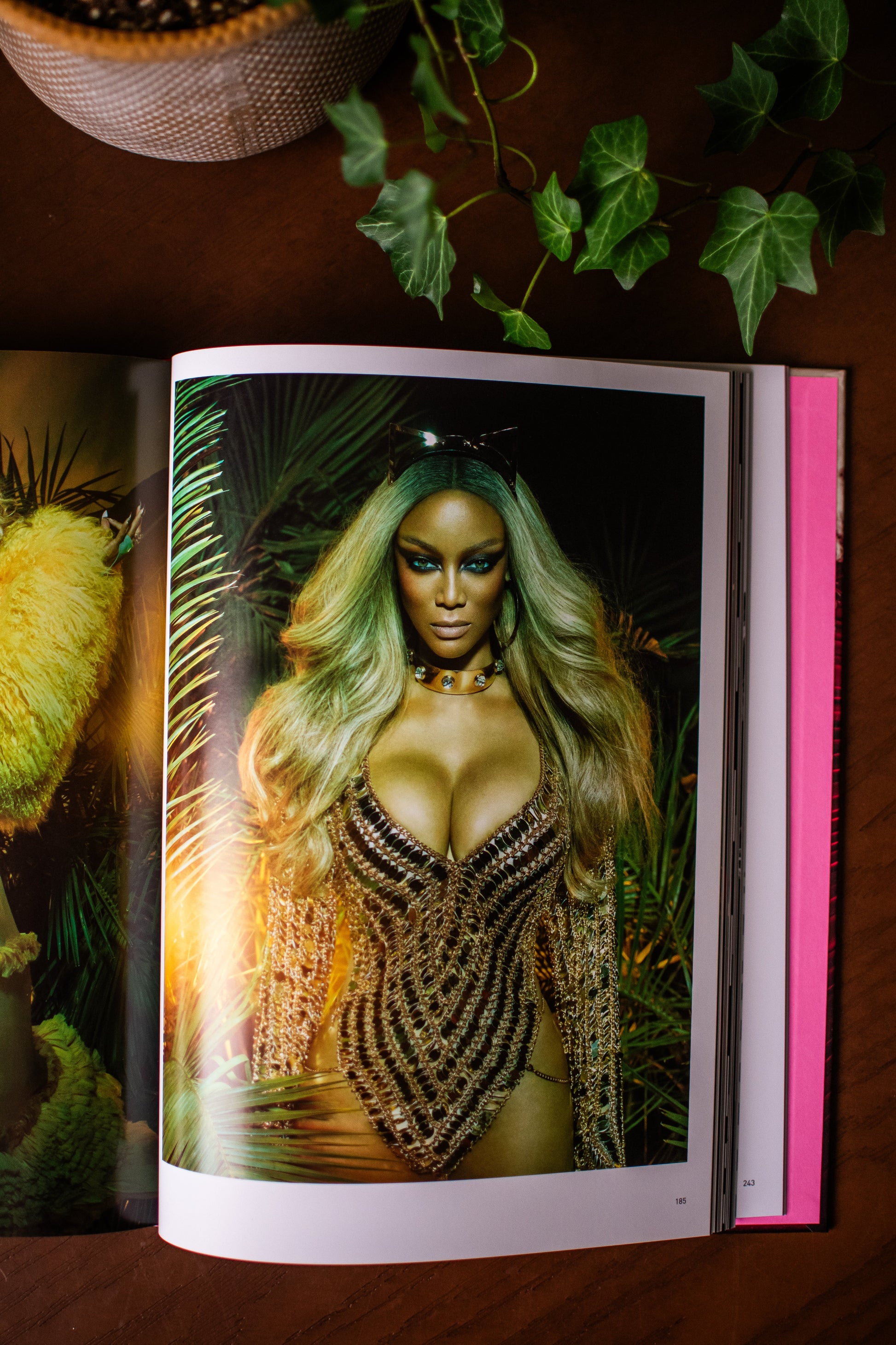 An open fashion magazine or book lying on a dark wooden surface, showing a printed cover photo of Tyra Banks with long blonde hair wearing a beaded black and gold bodysuit, with green ivy leaves and a woven basket visible around it.