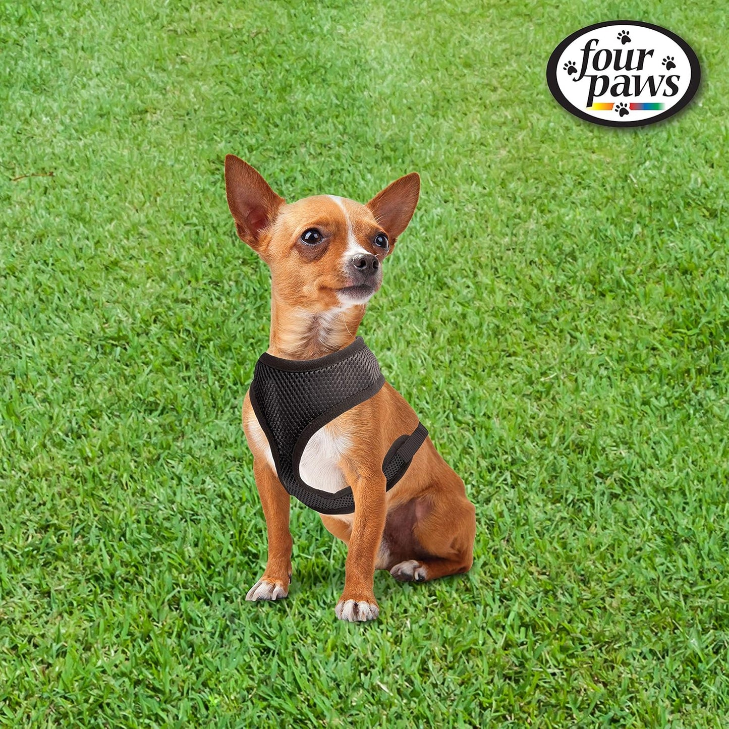 Four Paws® Comfort Control Harness for Dogs - Black