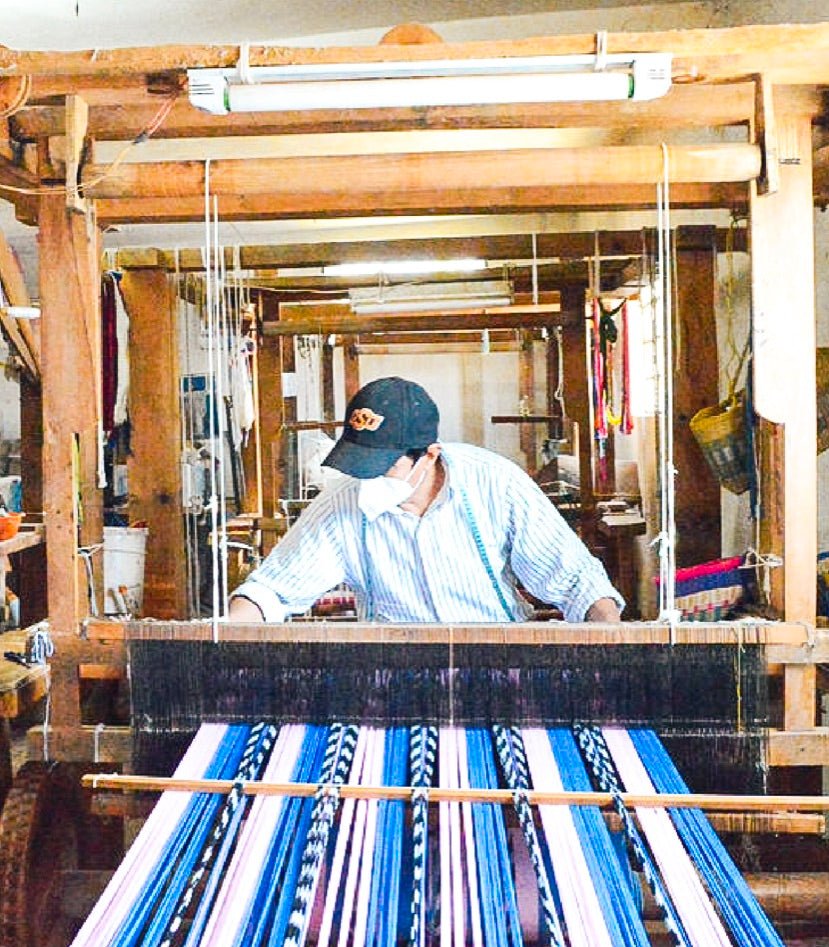 Backordered: Palm Ikat Blanket in Blue & Pink