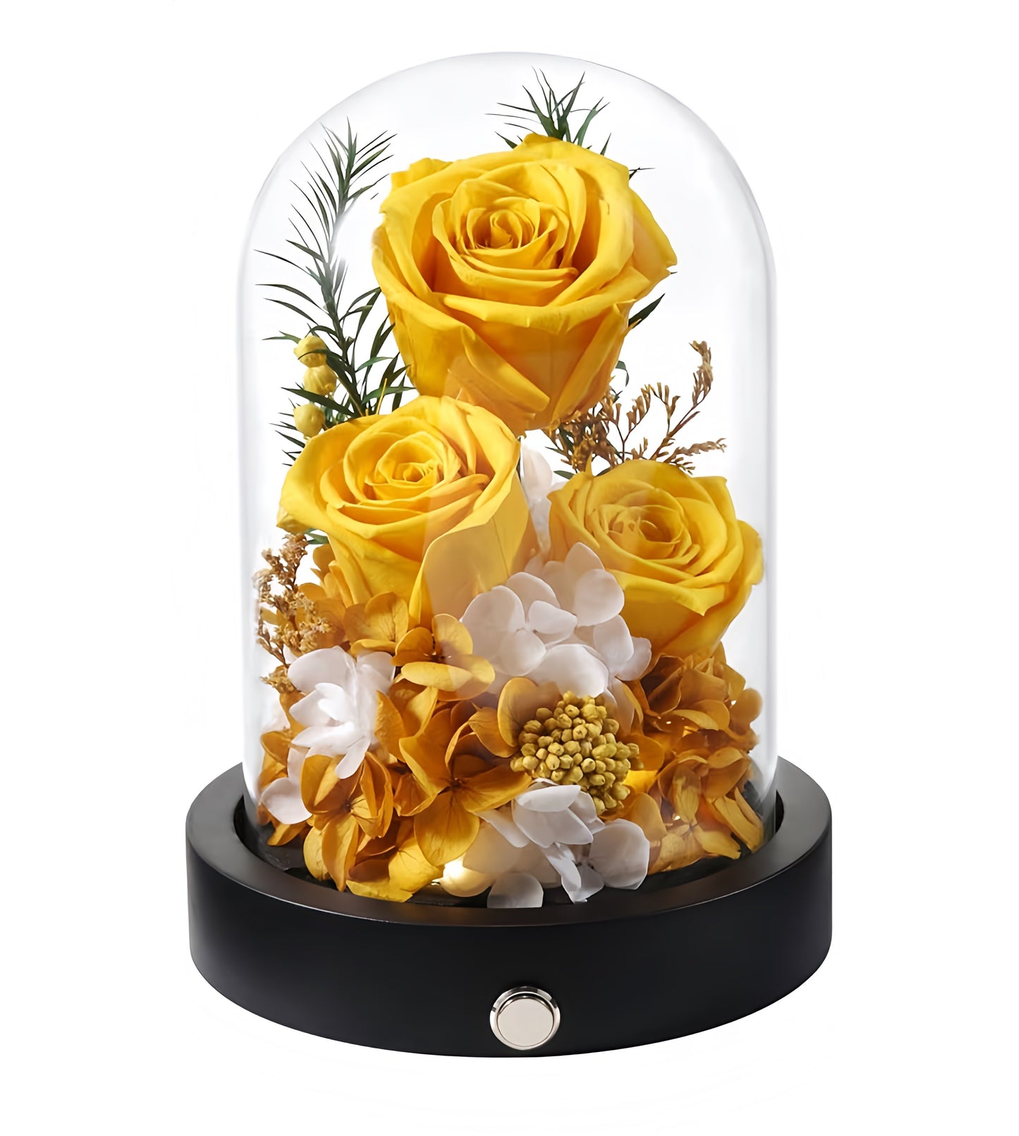 100% Real Preserved Flowers in Glass Dome with LED, Red Roses for Delivery