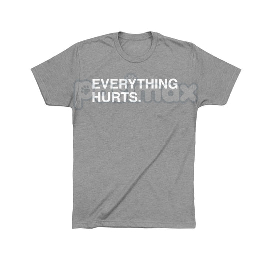 "EVERYTHING HURTS" Funny Graphic Tee - Workout & Chronic Pain Sarcastic Statement Shirt, Unisex Humor Apparel