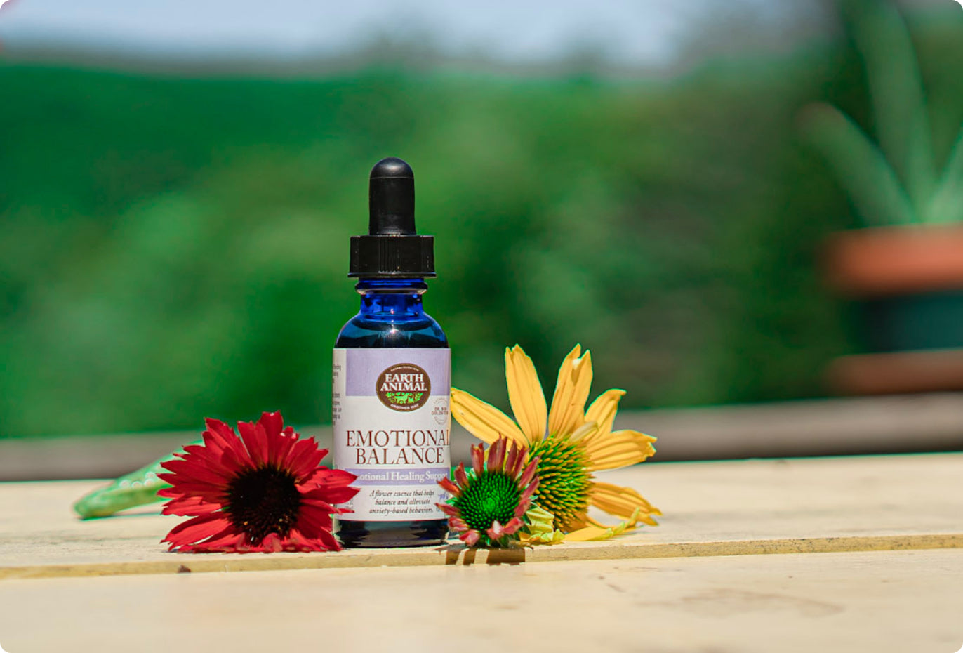 Emotional Balance Flower Essence Remedy