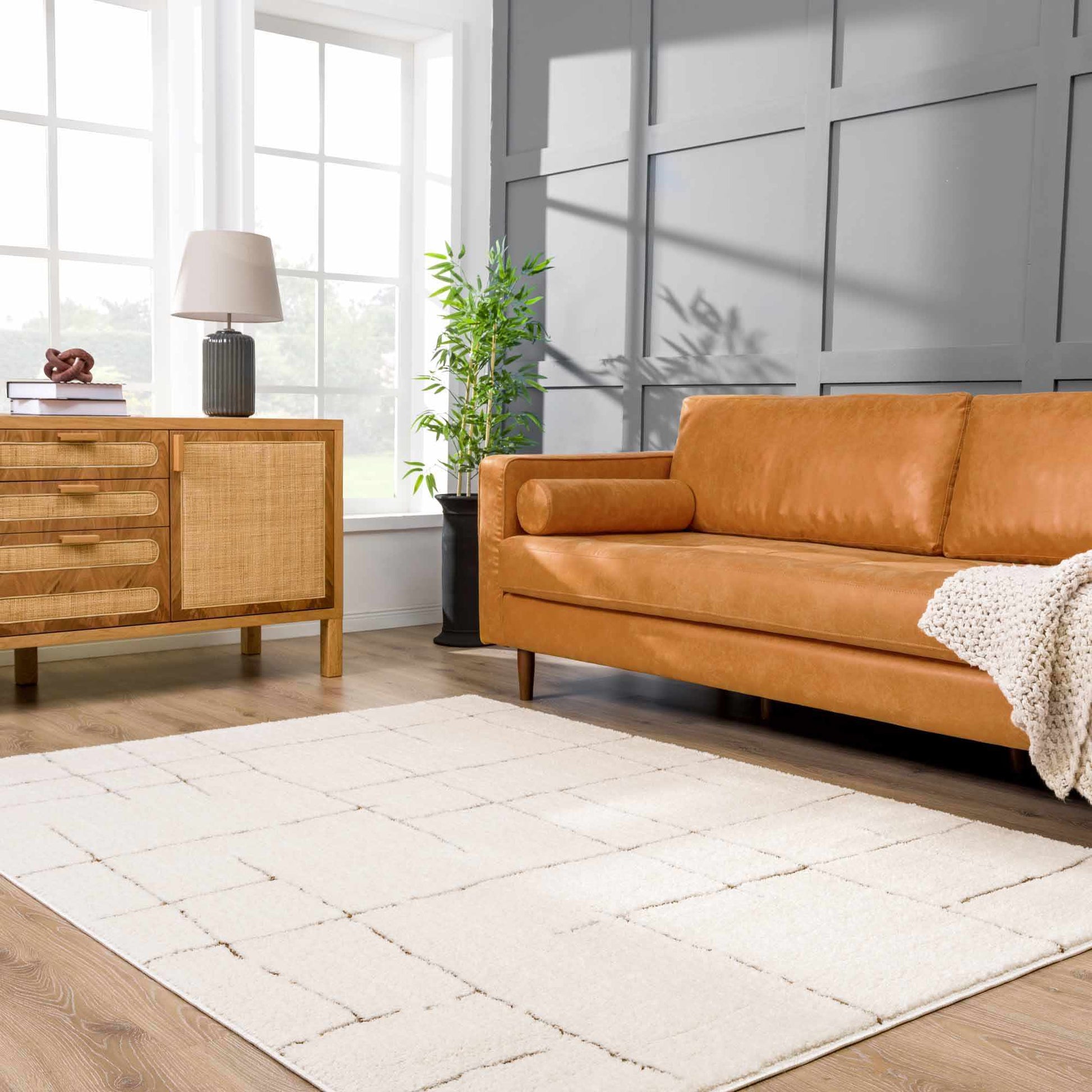 Koume Ivory & Brown Area Rug-1