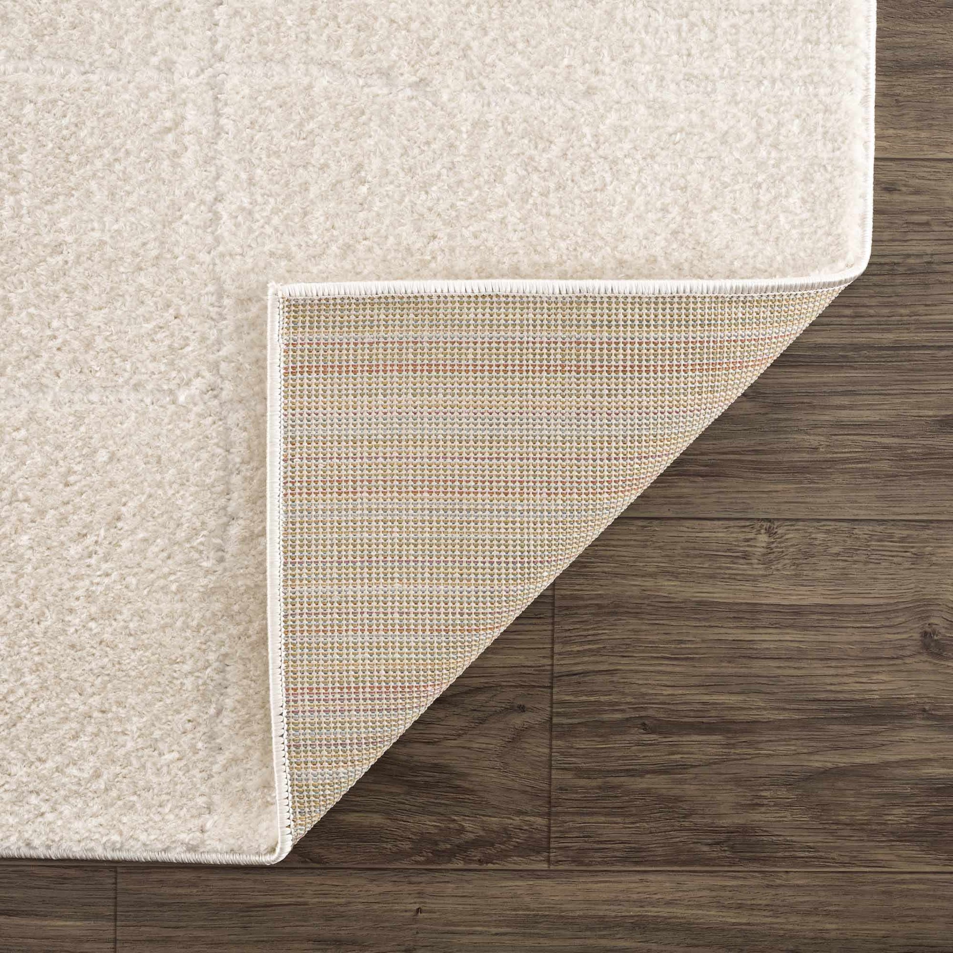 Koume Ivory Area Rug-4