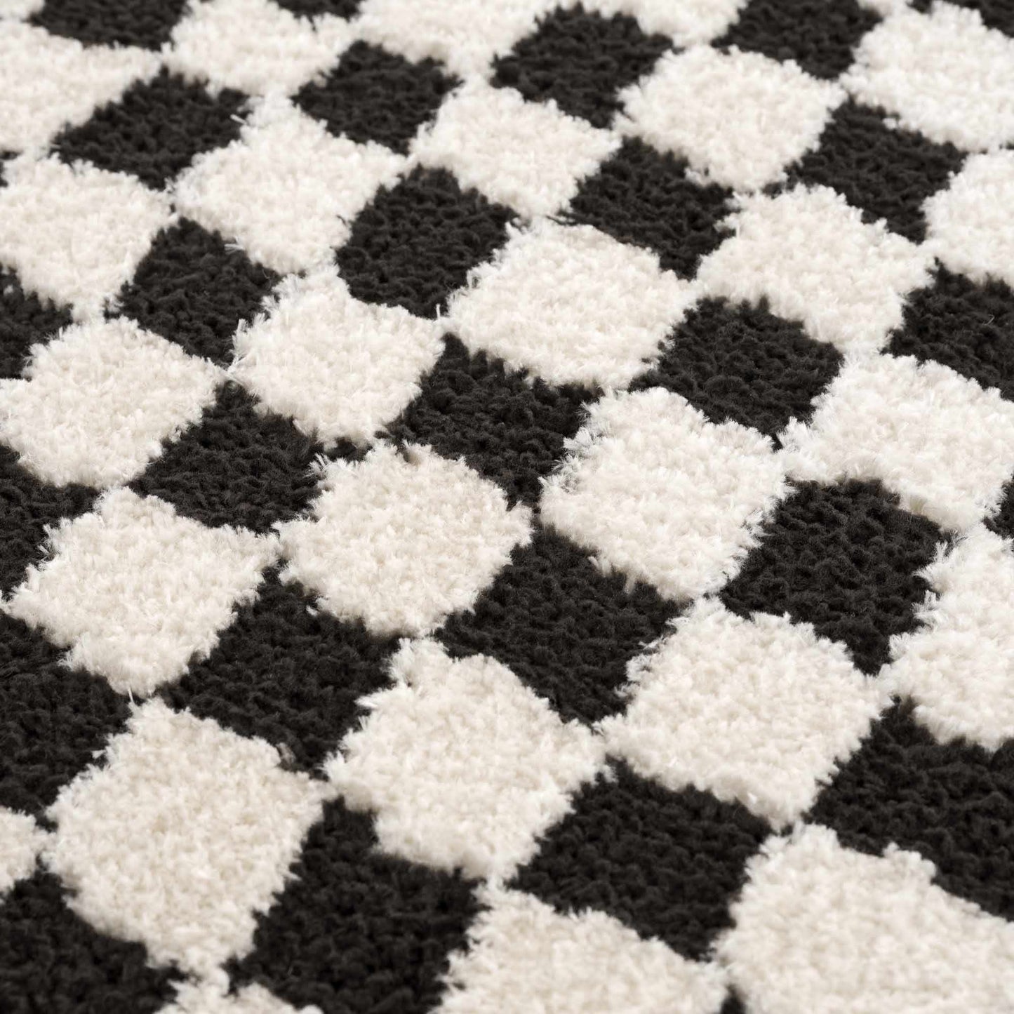 Leryn Black & White Checkered Area Rug-5