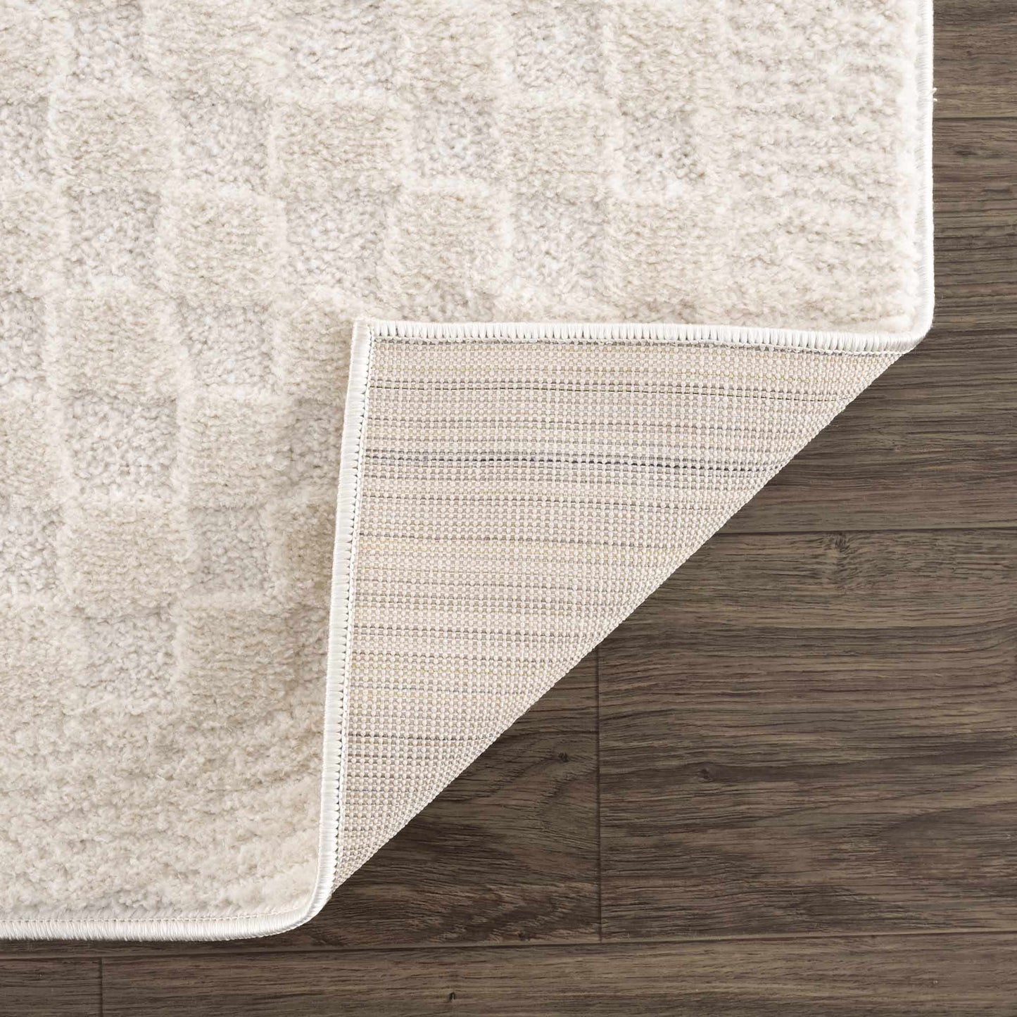 Leryn Ivory Checkered Area Rug-4