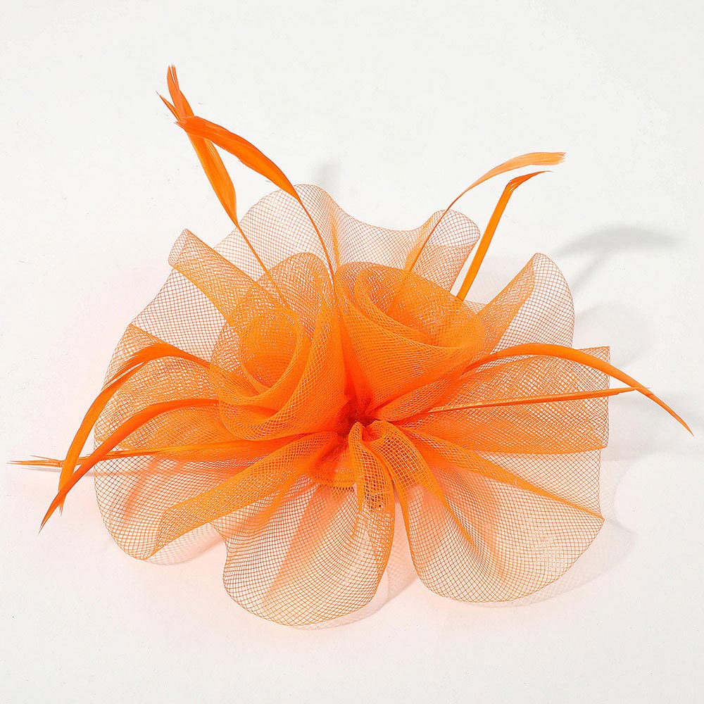 Mesh Flower Feather Mesh Fascinator / Headband