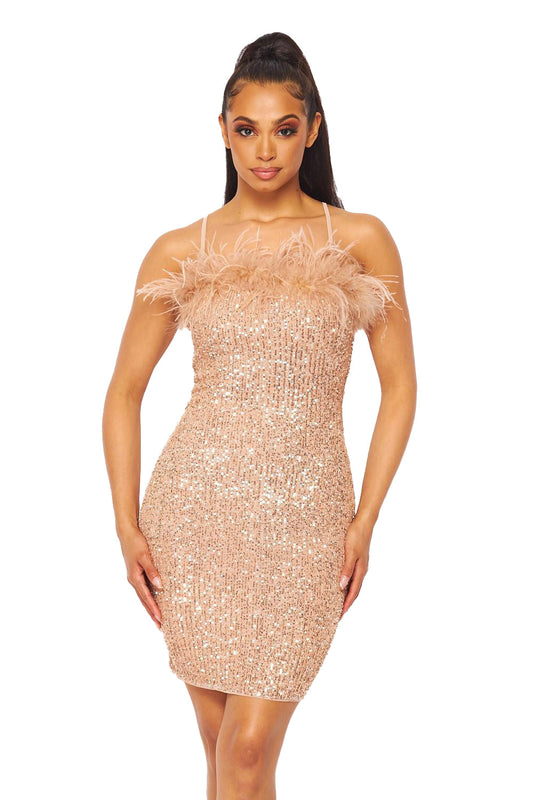 Feather & Sequin Dress