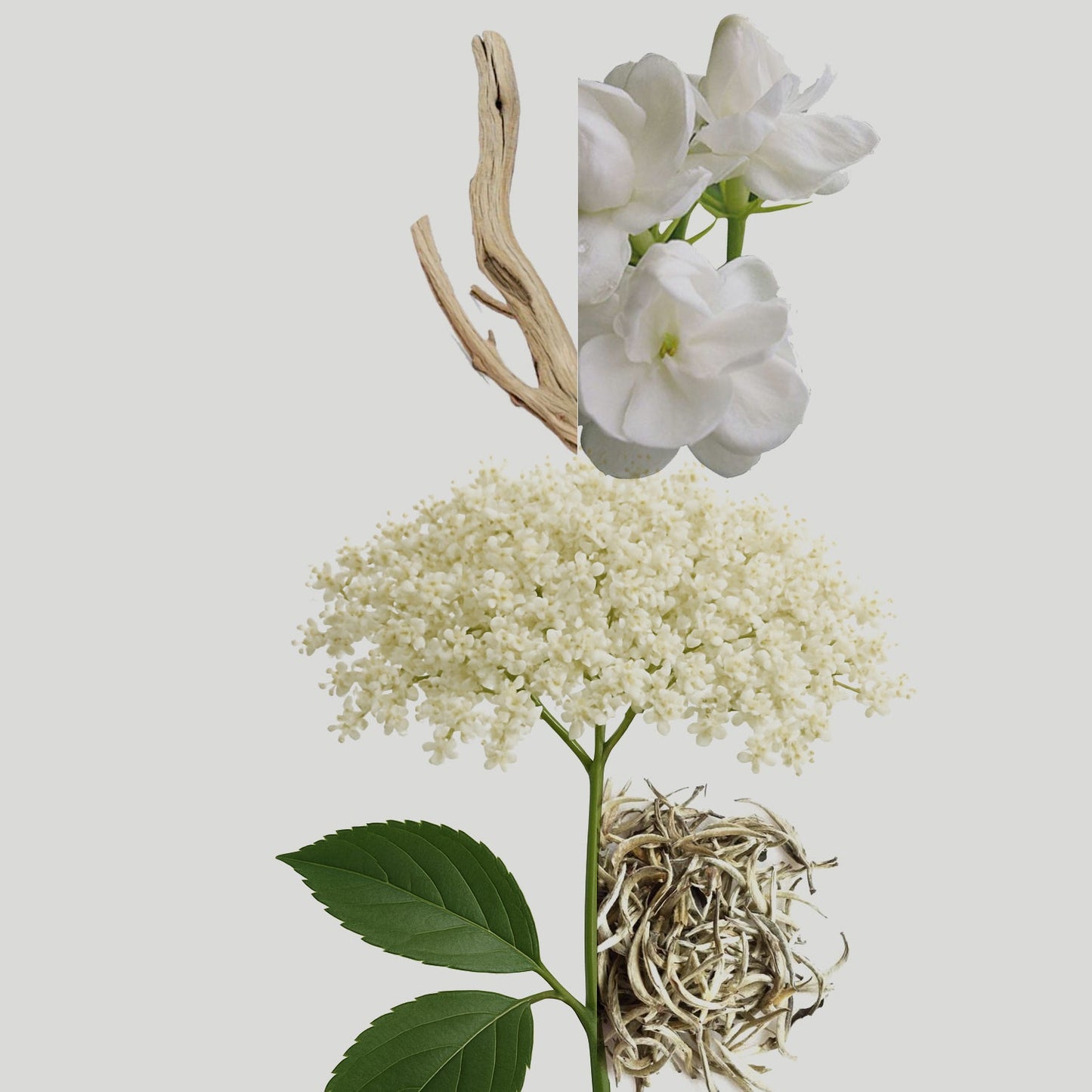 Elderflower 30ml