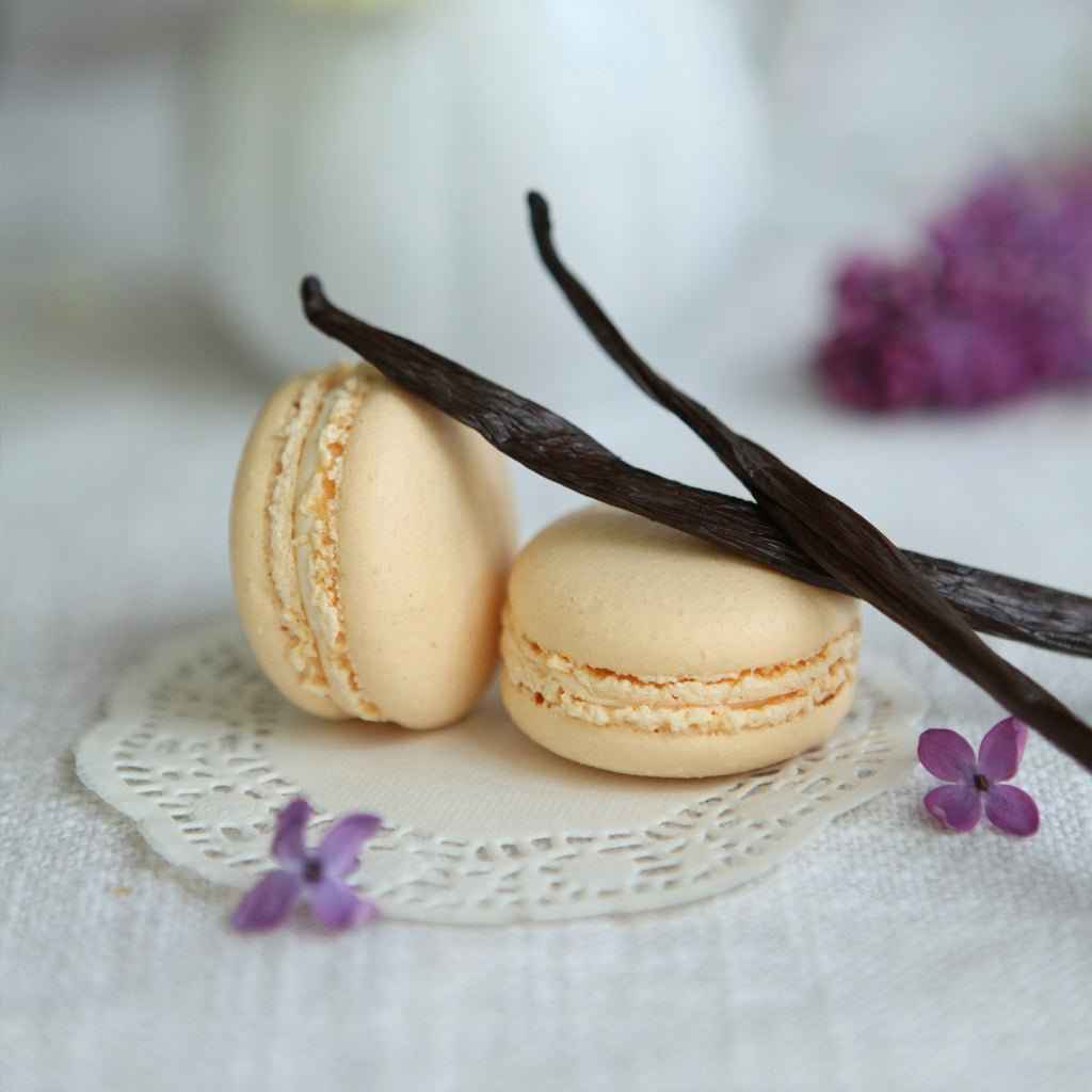 French Vanilla - Premium Fragrance Oil