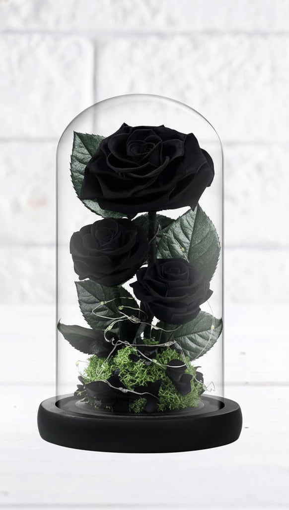 100% Real Preserved Flowers in Glass Dome with LED, Red Roses for Delivery