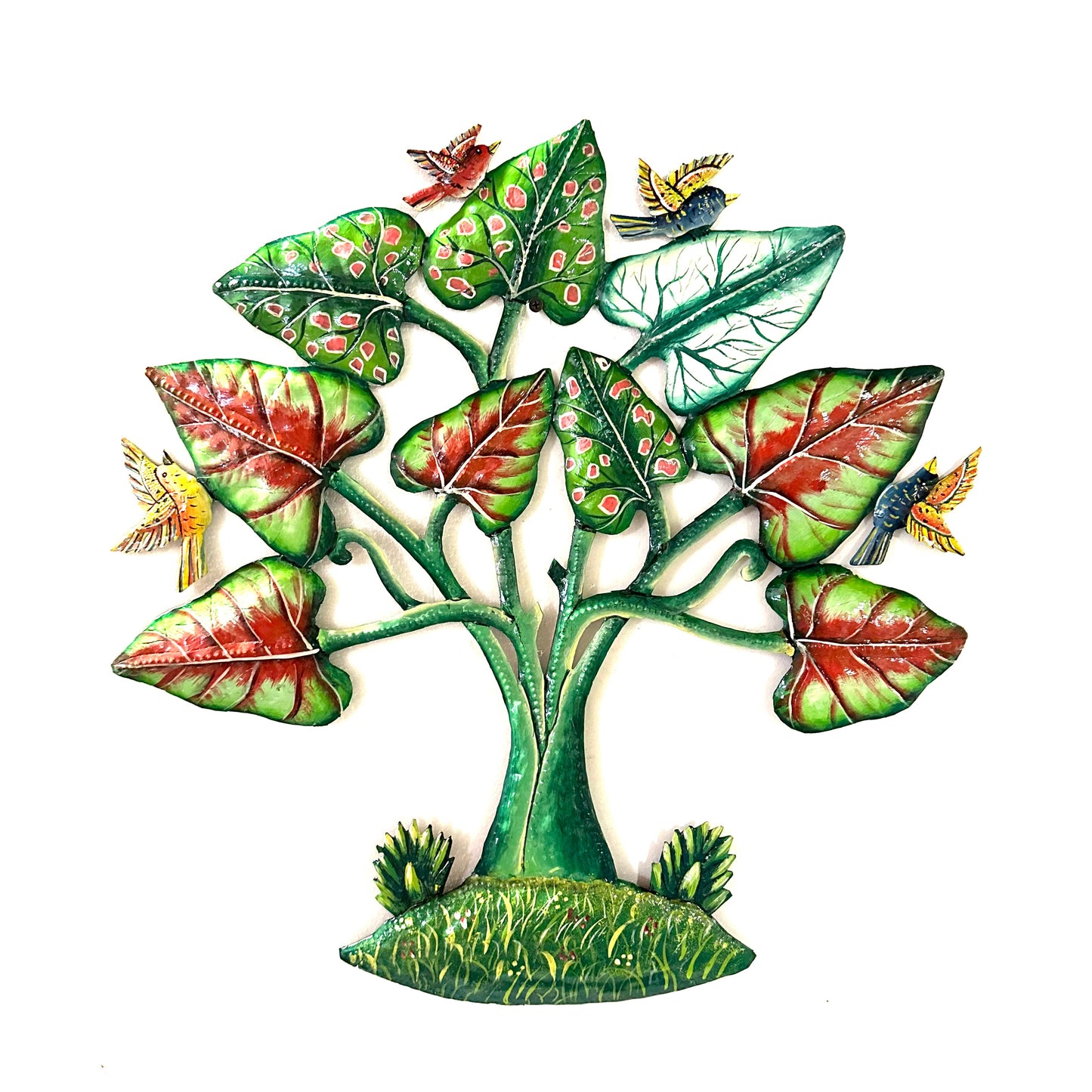 Caladium- Heart Of Jesus