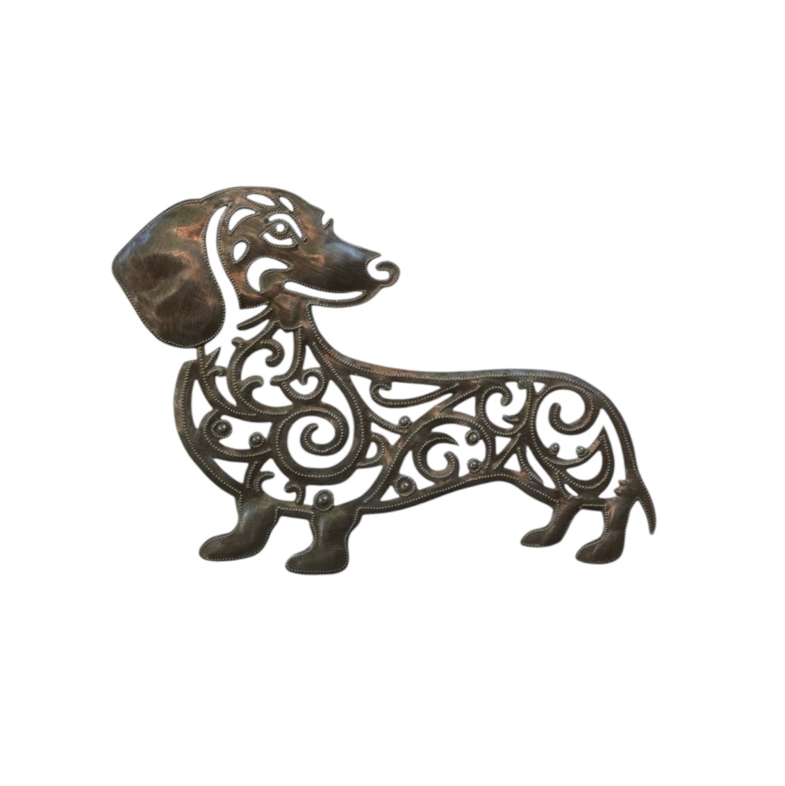 Dachshund