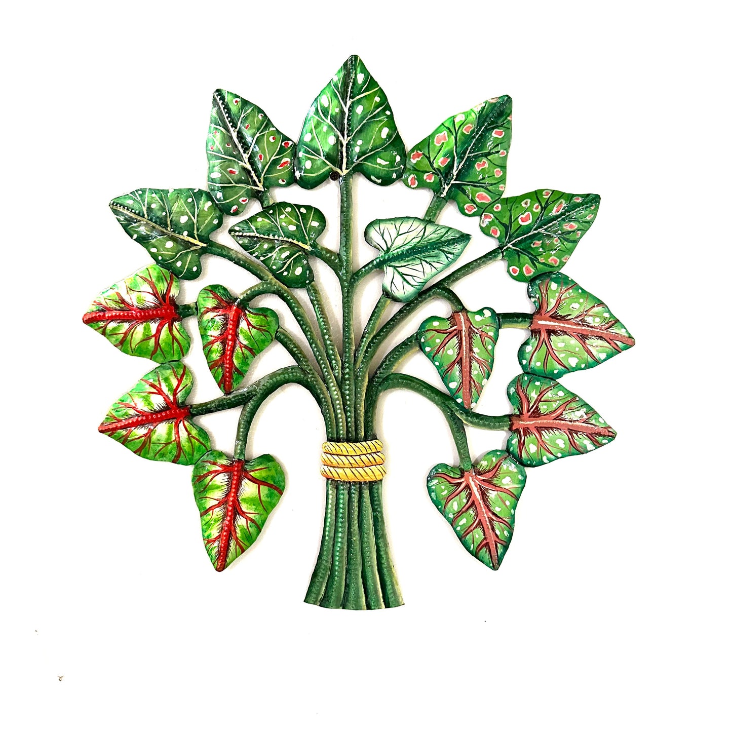 Caladium- Heart Of Jesus 2