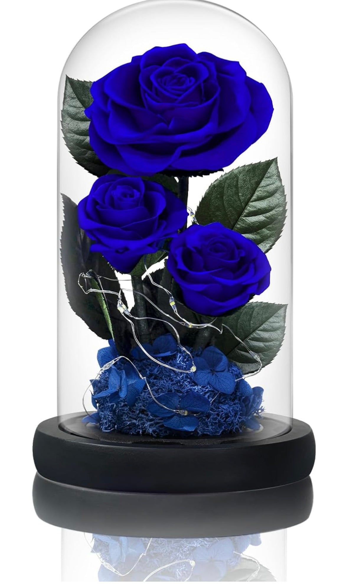 100% Real Preserved Flowers in Glass Dome with LED, Red Roses for Delivery