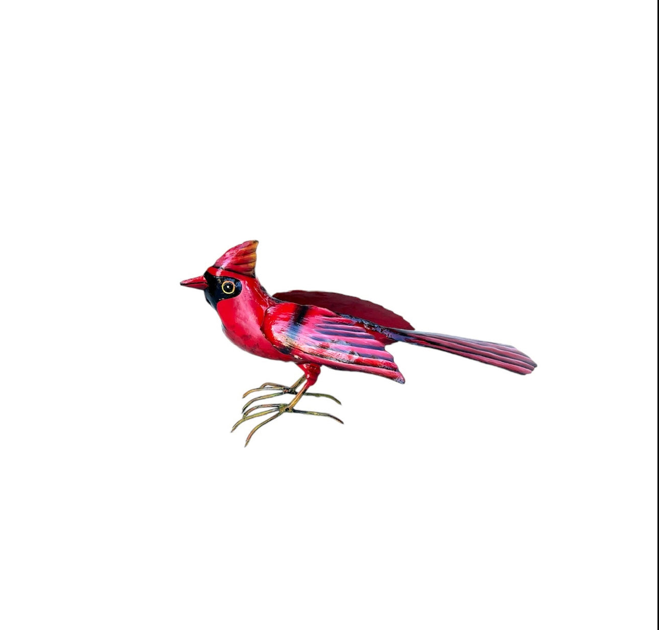 Standing Cardinal