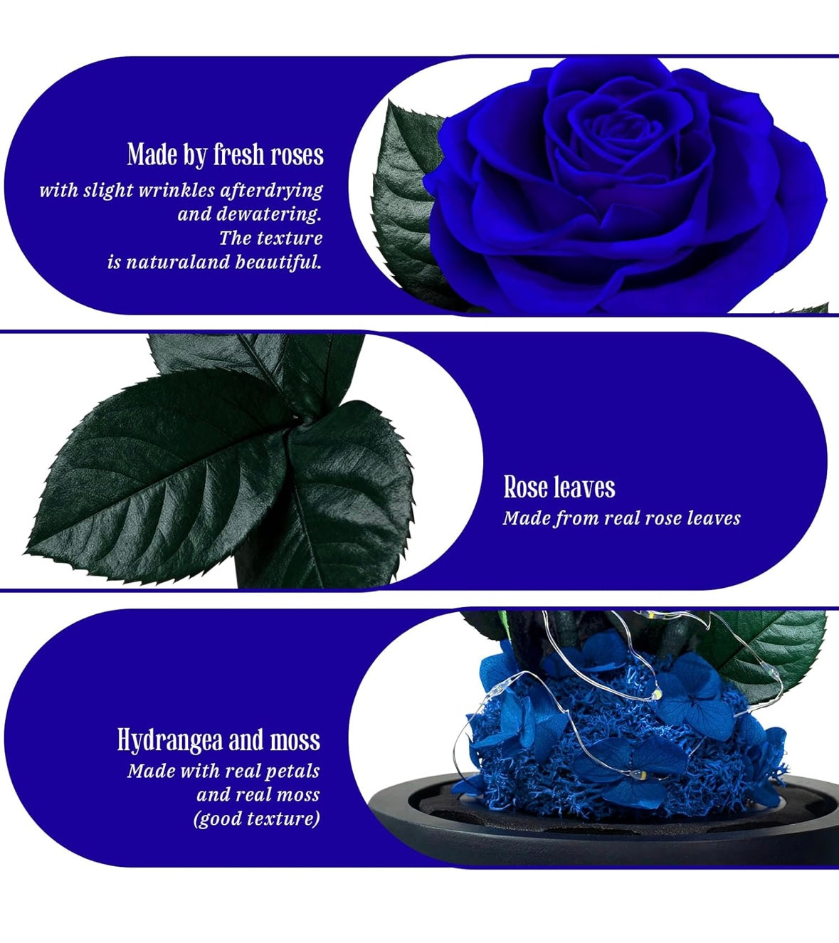 100% Real Preserved Flowers in Glass Dome with LED, Red Roses for Delivery