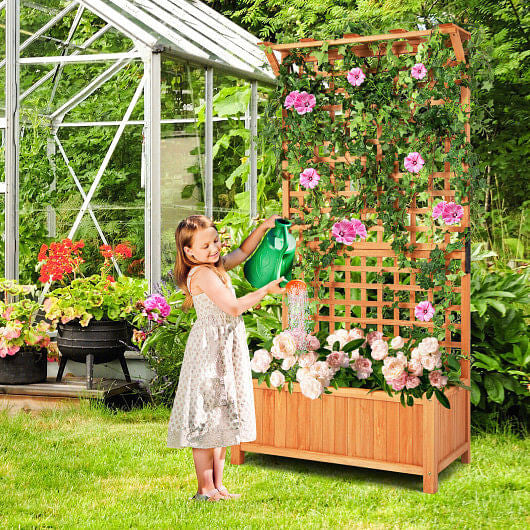Raised Garden Bed with Trellis and Hanging Roof-Natural-3