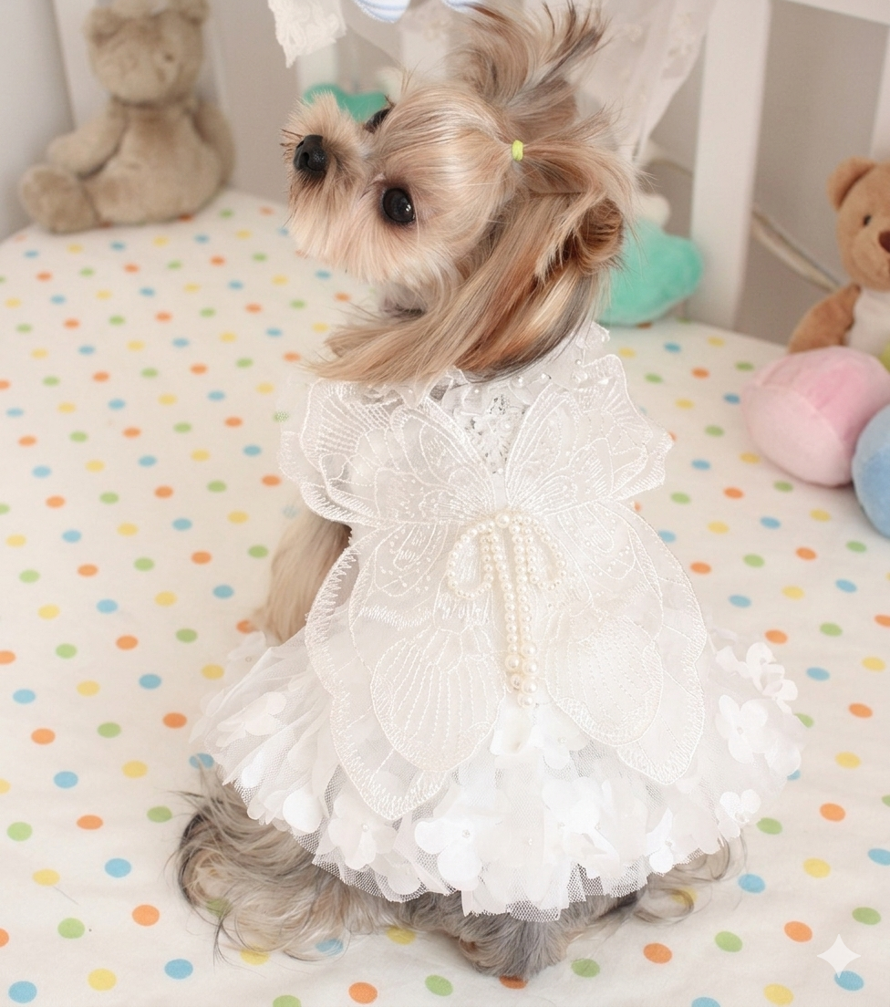 Dog Dress White Butterfly Lace Wedding