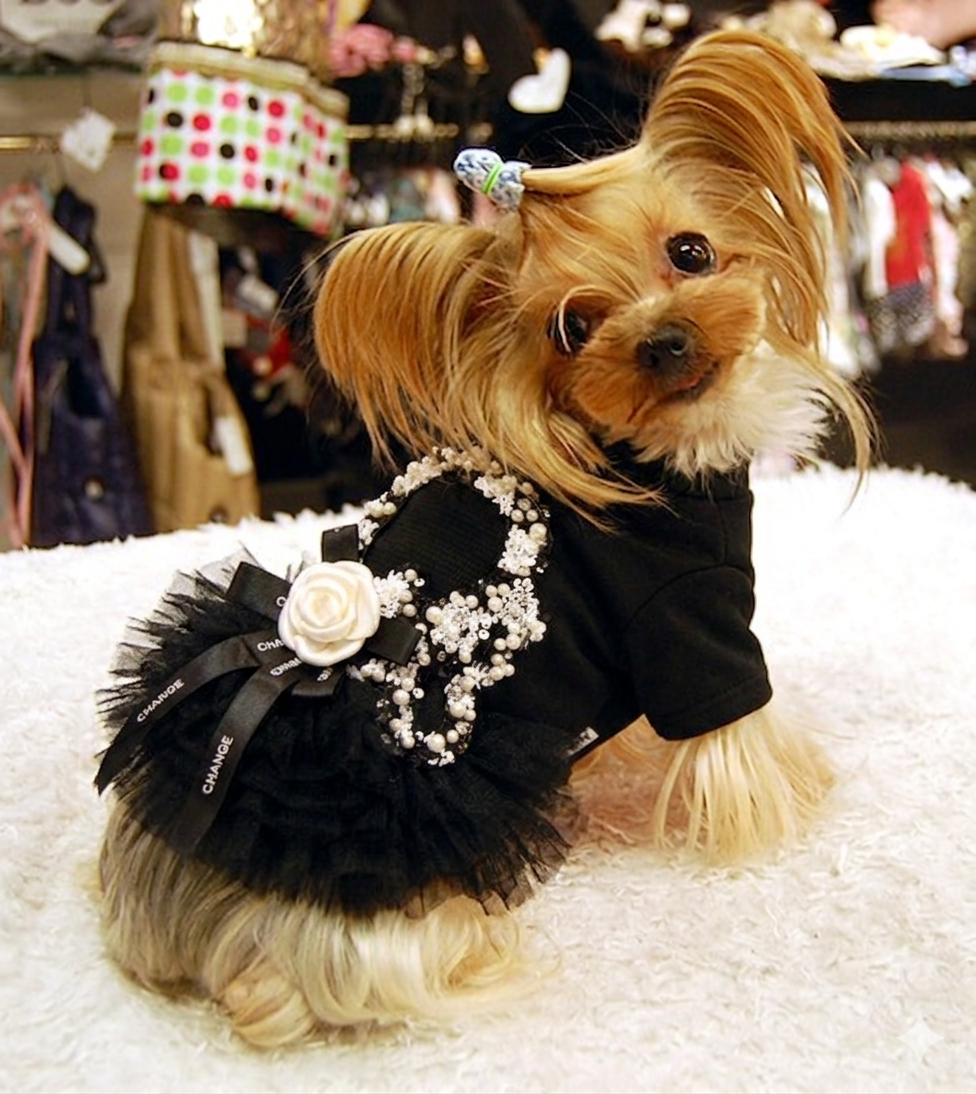Black Pearl Sequin Pet Tutu Dress with 3D Flower - Formal Party Look