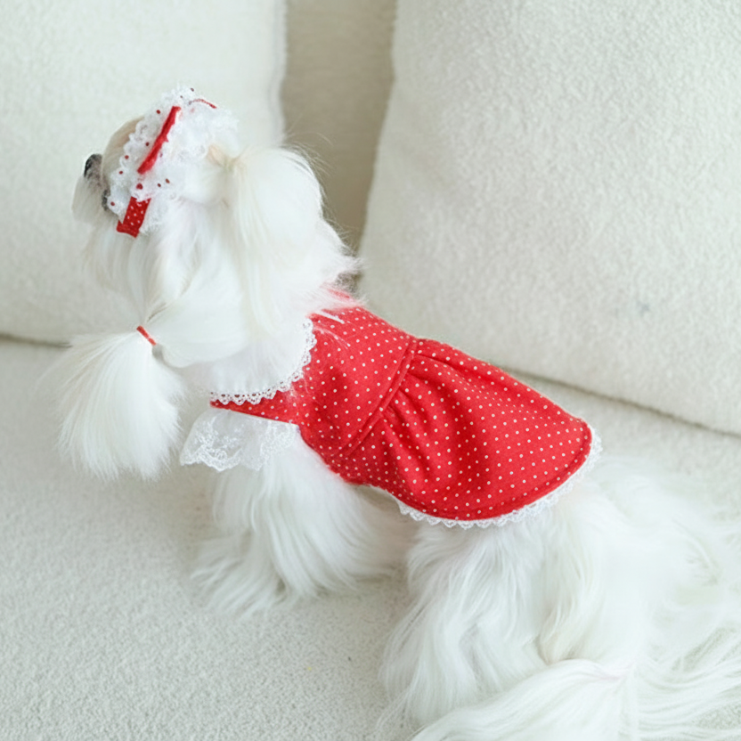 Dog  dresses 2-piece set red cute dot