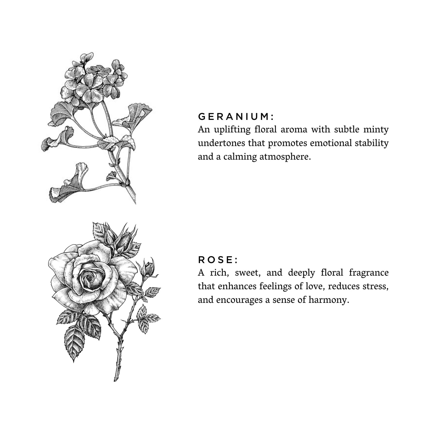 Geranium + Rose