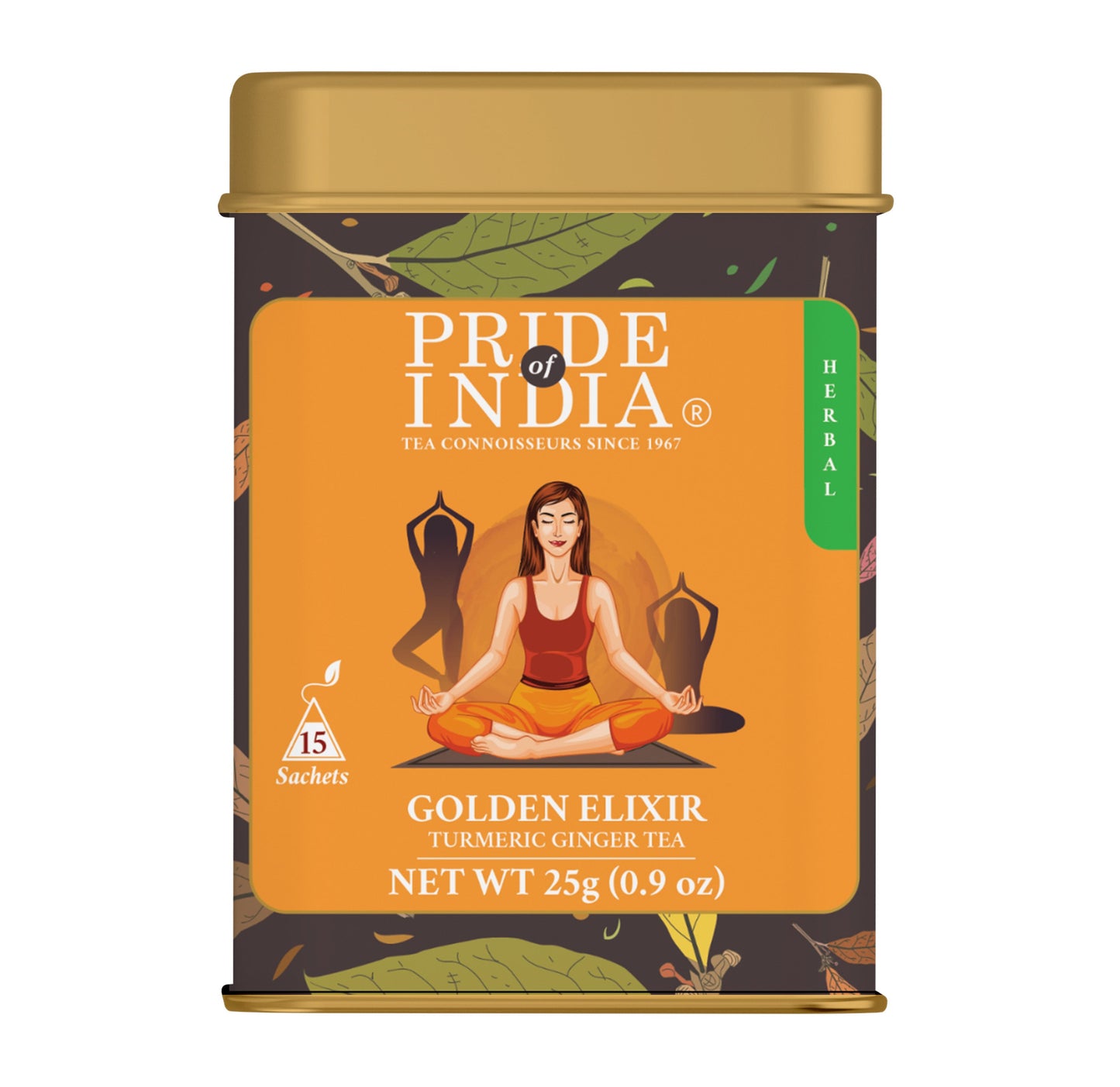 Golden Elixir - Turmeric Ginger Tea Bags-0