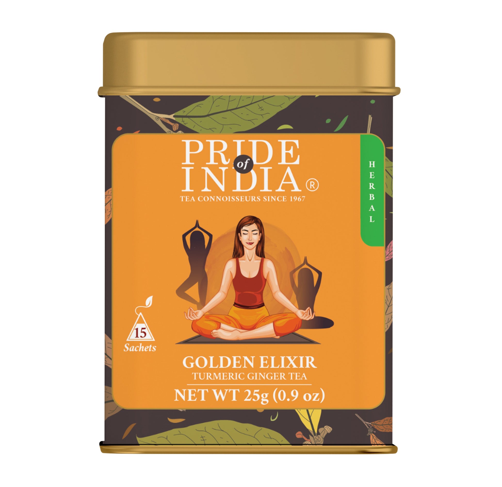 Golden Elixir - Turmeric Ginger Tea Bags-0