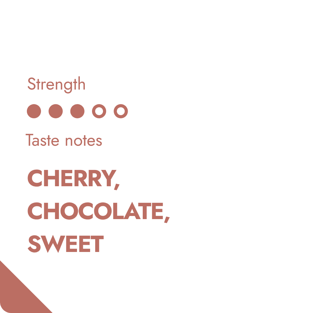 GUATEMALA COFFEE BEANS-1