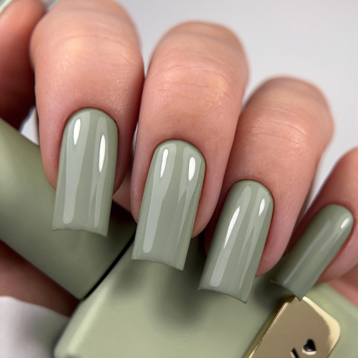 HEYLOVE - Gel Polish Safari, 15ml-1