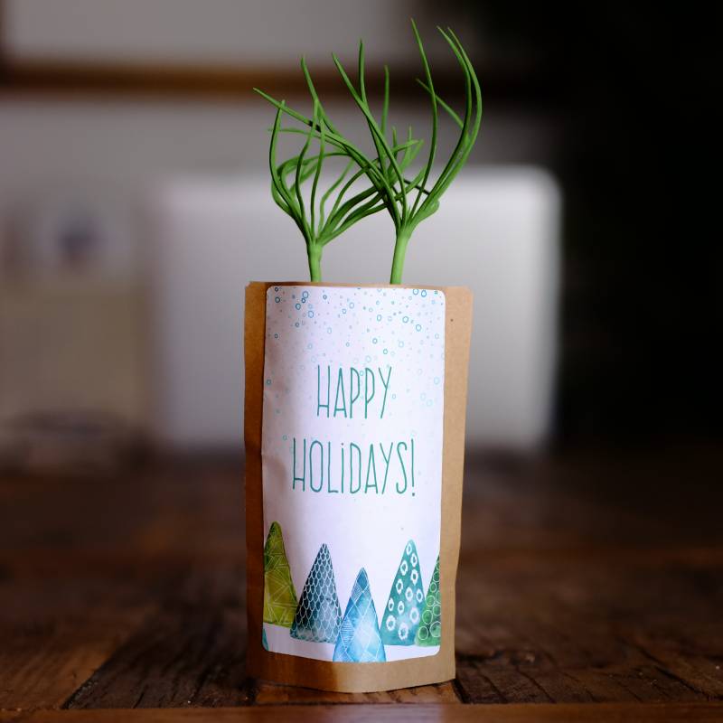 Happy Holidays Tree, We Plant 10 More Trees-0