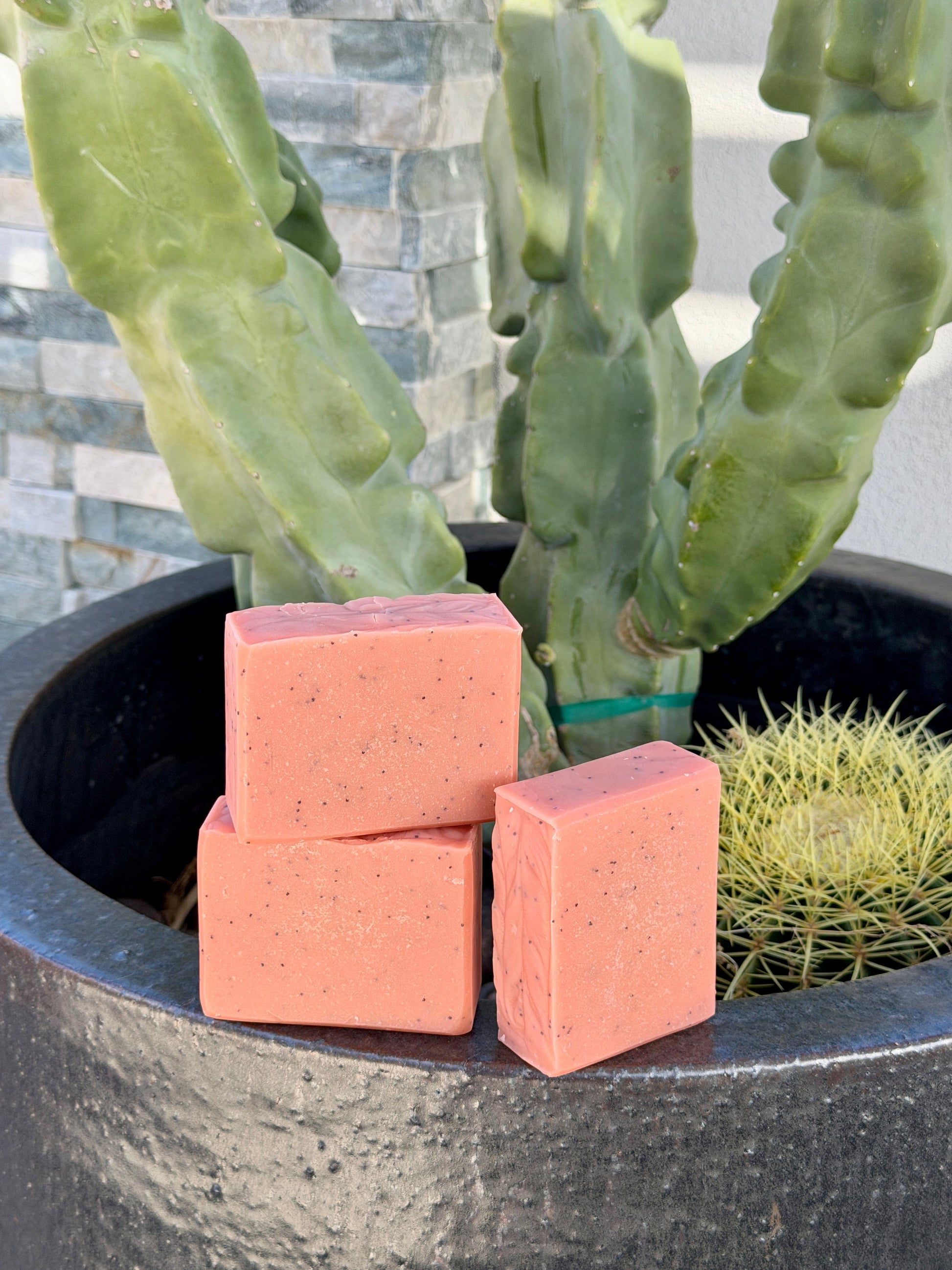 Dragonfruit & Hibiscus-0