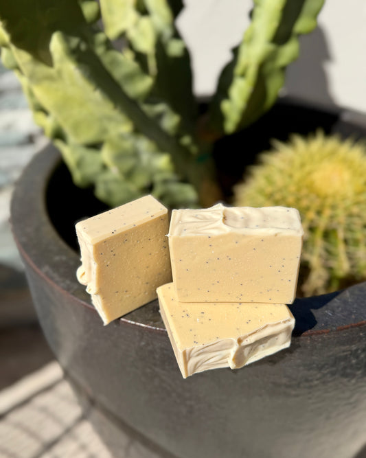 Exfoliating Palo Santo & Mahogany-0