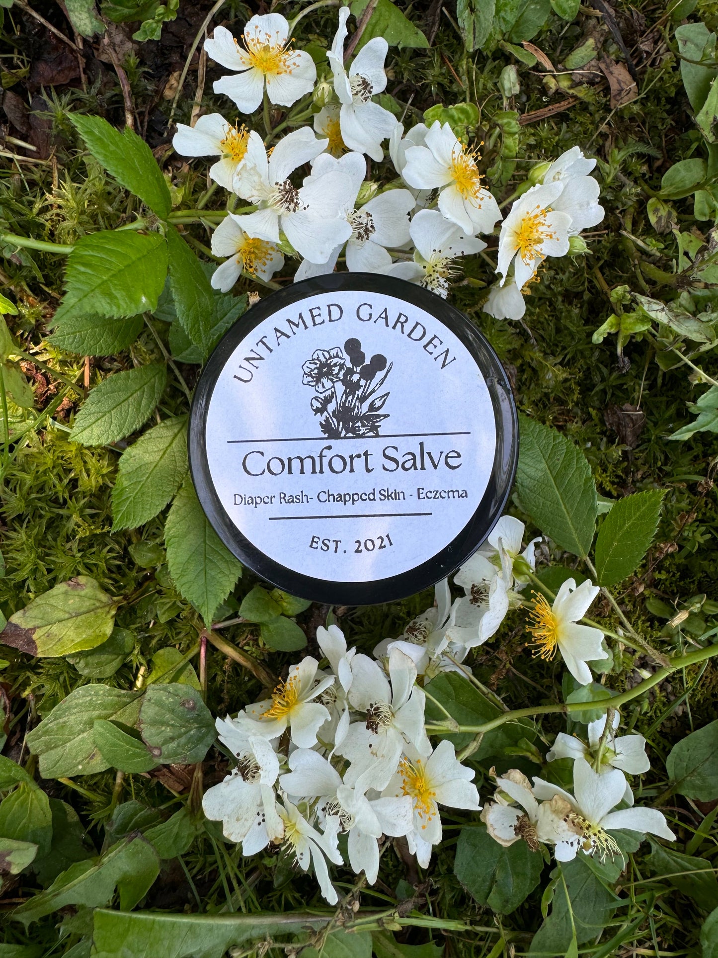 Comfort Salve-0