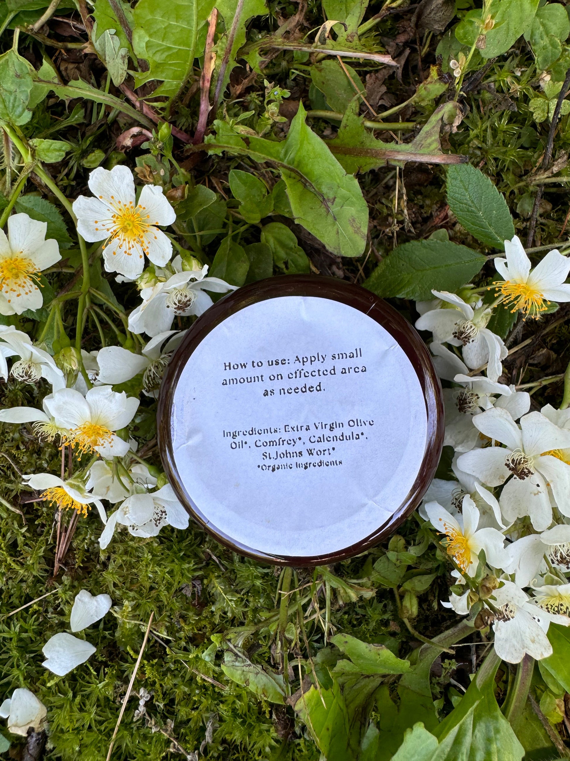 Comfort Salve-1