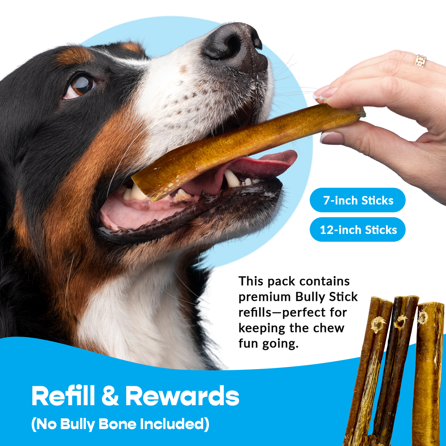 7" Thin Bully Sticks - Refill Pack-4