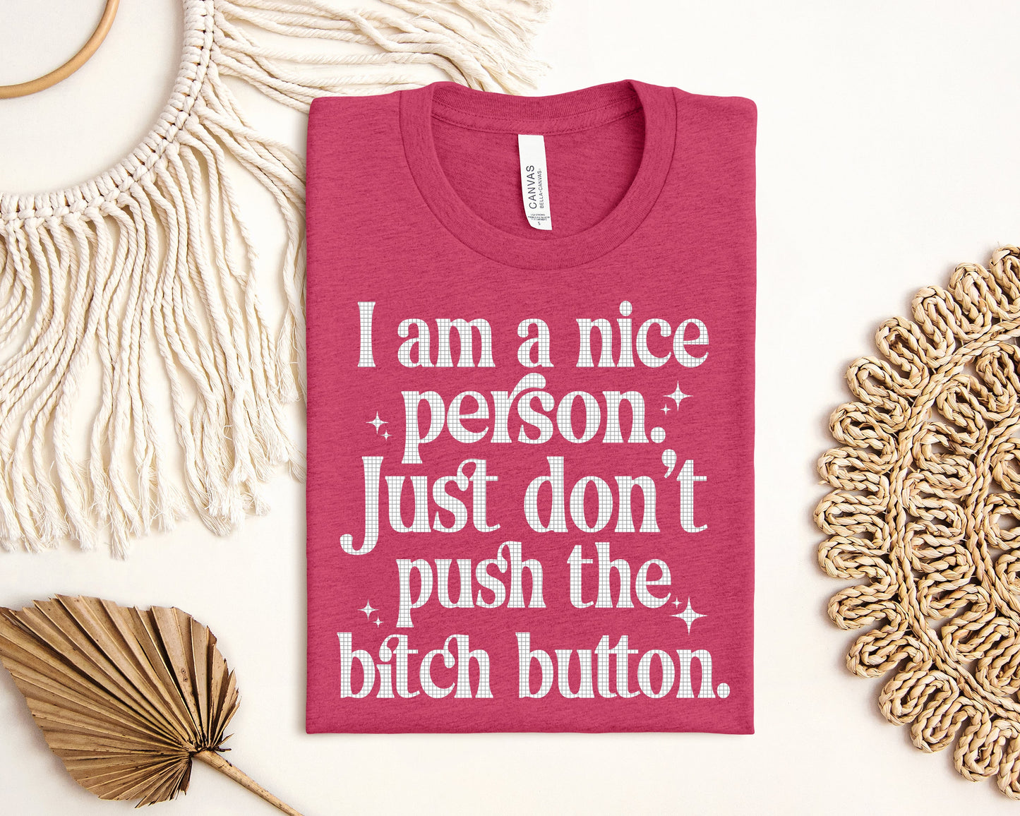 I am a Nice Person Graphic Tee